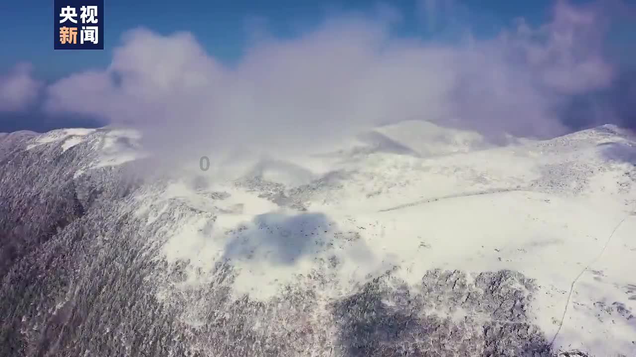 解惑问答,我们学校有人在楼上骂老师,然后不知道是谁,年纪主任说查到直接开除,他真的能查到是谁吗?平台为您答疑解惑